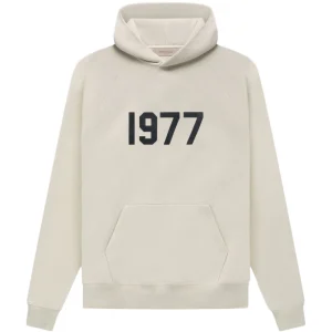 Off-White Essentials1977 Hoodie