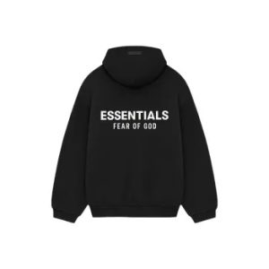 Pacsun Essentials Hoodie